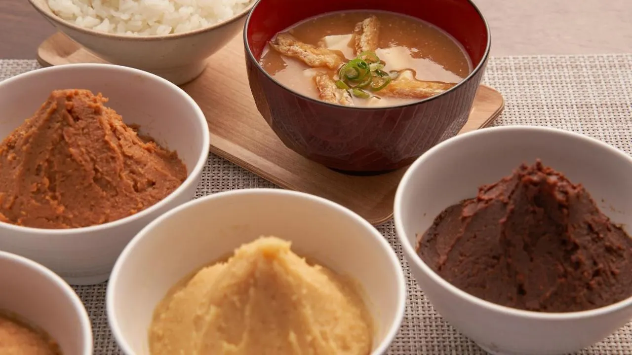 Via Inn Shin Osaka